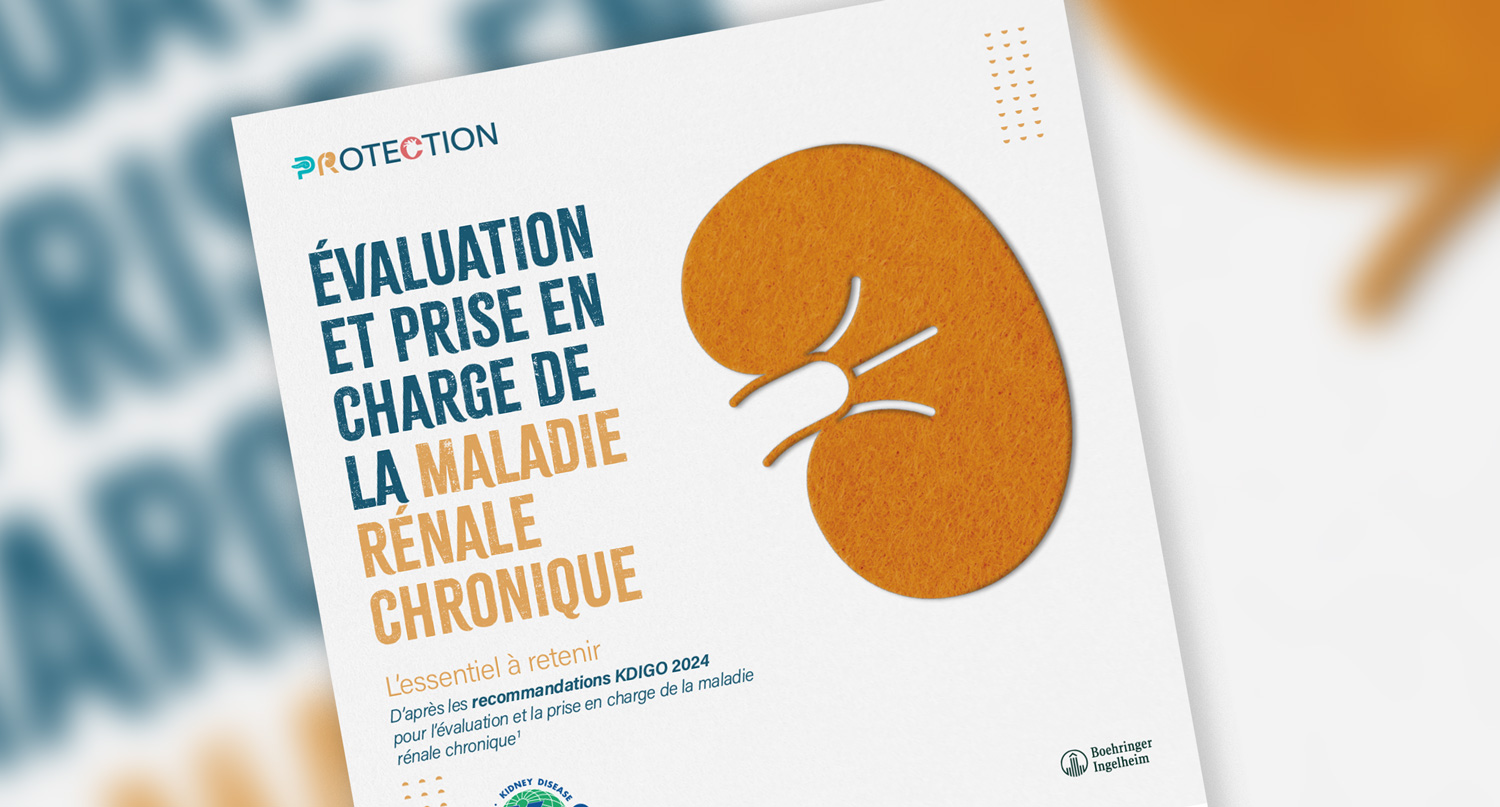 Les recommandations KDIGO illustrées