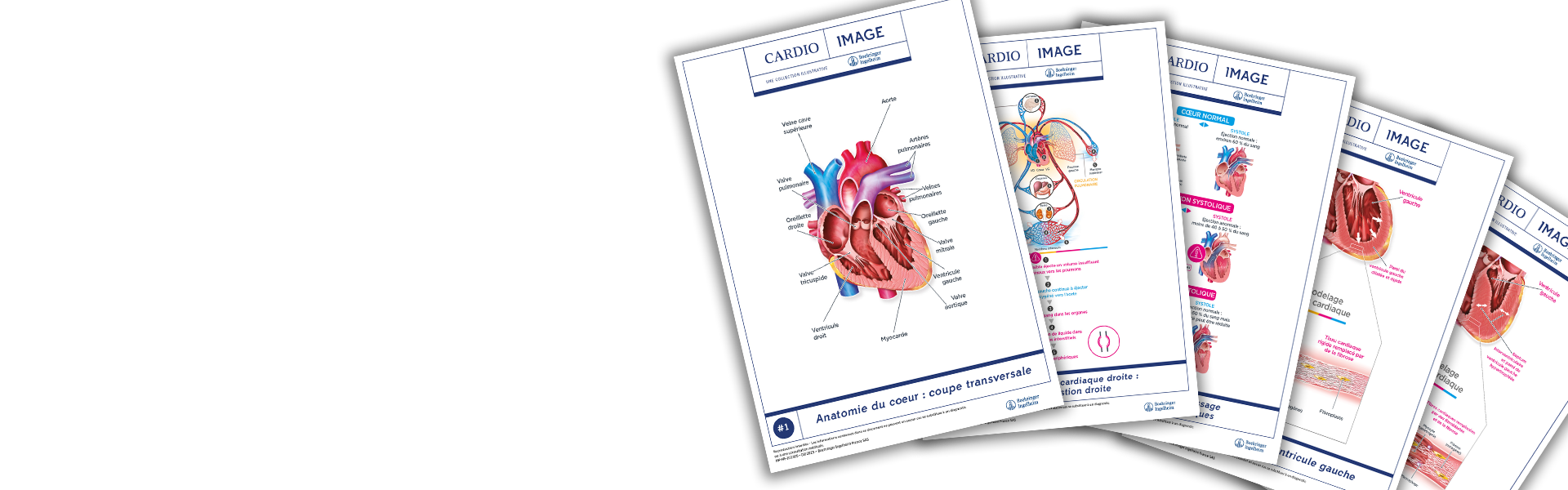 Banner collection planche